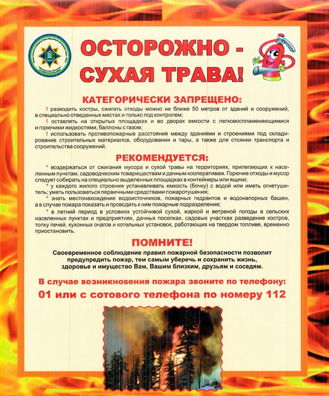 pam go i chs 20220413 5