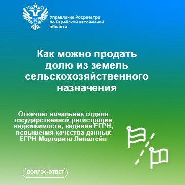 statya voprosotvet 51022