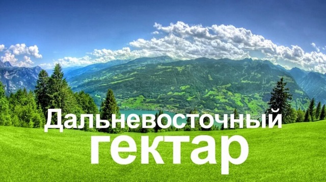 dalnevostochniy gektar 03 2022